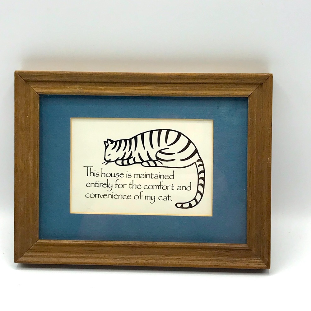 Cat comfort. Black and white striped cat with blue matting/wood frame.